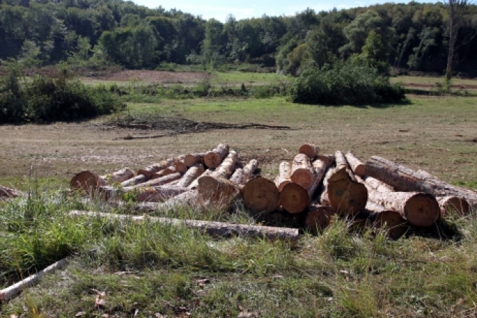 Le drame de Sivens :Cazeneuve  pathétique à un point stratosphérique