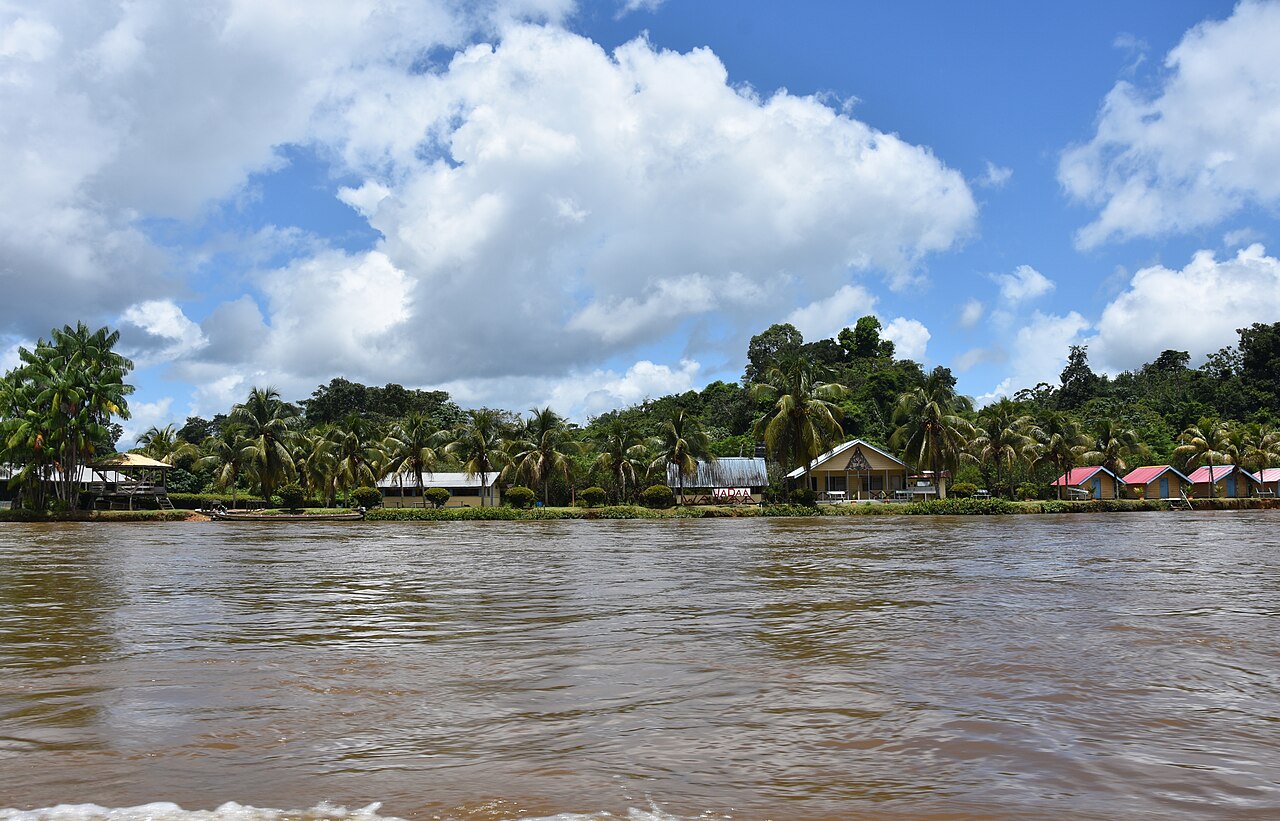Habitations et foret sur les rives du Maroni, photographie du 9 mai 2018.